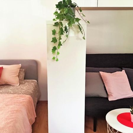 Apartament Malinowy Swietoduska 12 ルブリン エクステリア 写真