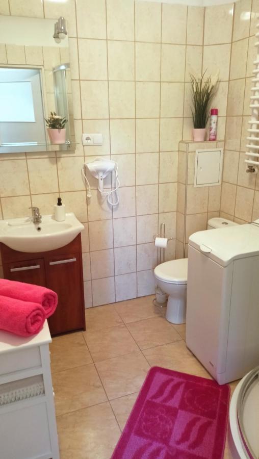 Apartament Malinowy Swietoduska 12 ルブリン エクステリア 写真
